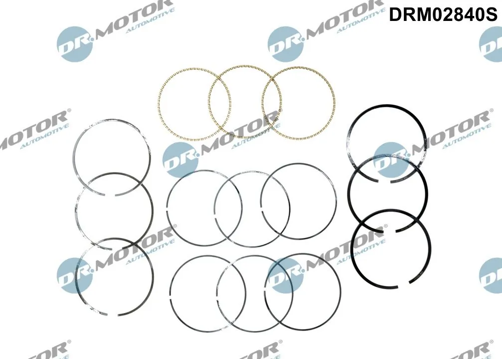 Piston Ring Kit